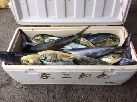 t9s5a58fxzk4xc9d5867_480_480-c0817121.jpg