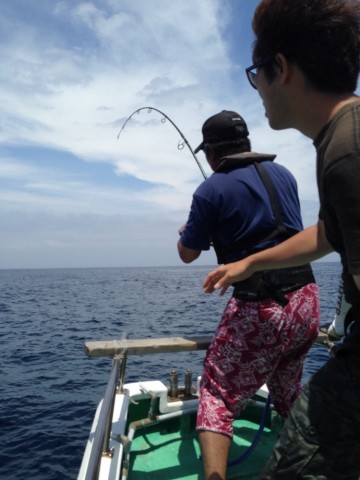 t9sw9a5tichda2zcjhwa_690_920-2099baa7.jpg