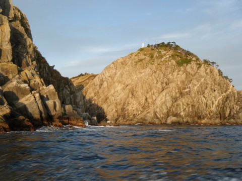 t9vvZ9NFu4jY5Gv3osFC_480_480-18ac1177.jpg