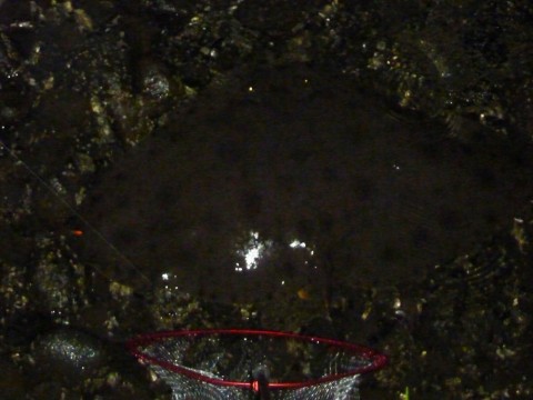 tCe82Oc3j3cmA4v3Shit_480_480-fc7ada33.jpg