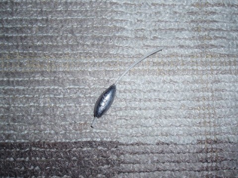 tTbXNWJsTJmWKJVS4DX7_480_480-e2affc75.jpg