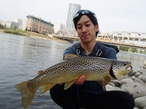taak99ax25tnmg85u6zb_480_480-f4aea921.jpg