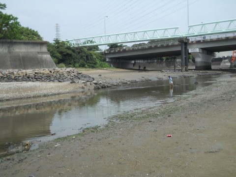 tafuyay5f8kd2etz279j_480_480-5409f308.jpg