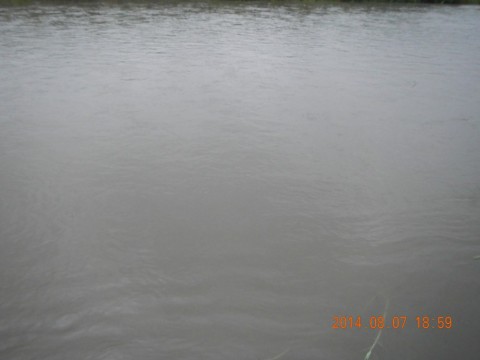 tah2va4r7ope8uwnw59g_480_480-1c2669af.jpg