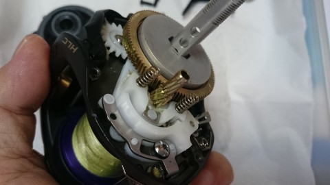 tahvbpxc95ux72jkp7e4_480_480-024e25d2.jpg