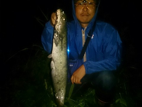 takg7jkwhf6s2ipdervh_920_690-d51133d5.jpg