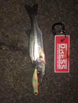 tasrjo56azs6wdpy9g78_281_373-4ec5f0ce.jpg