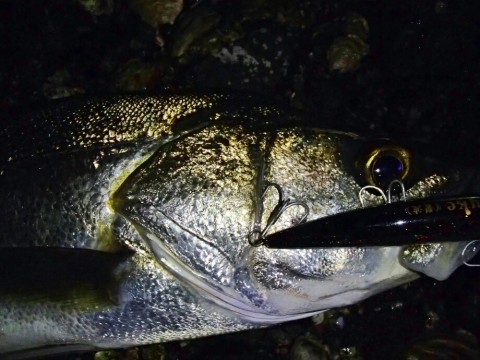 tauahxzfa67jkv4ncmry_920_690-27f31ea9.jpg