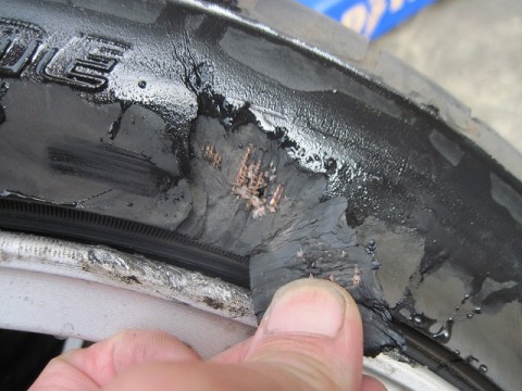 tavkphuysmaiyj9g7vwt_480_480-2187c3fc.jpg