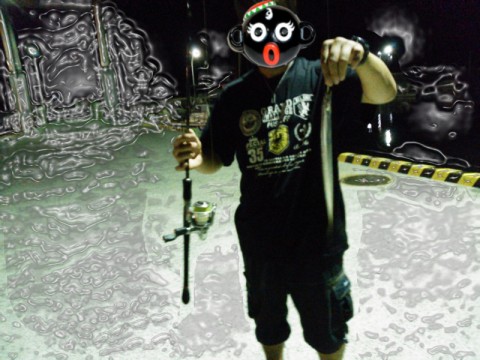 tb3stnr3ta73knrc7fyr_480_480-67d8a051.jpg