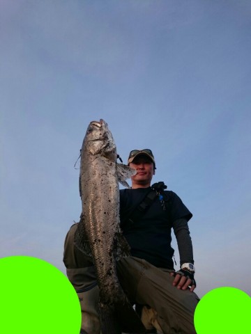 tb99yrnrhetds73xgm9d_690_920-29f31a12.jpg