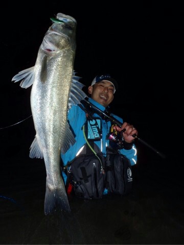 tbaxf9eowu58cfiji7sc_360_480-5a95c7c4.jpg