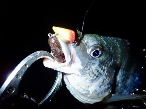tbpufigig5ksmvutzas3_480_480-fdbfe078.jpg