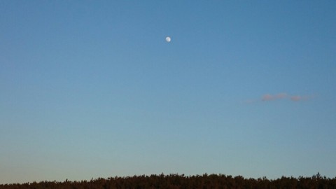 tbshc9ie678yit3se859_920_518-6468ccfe.jpg