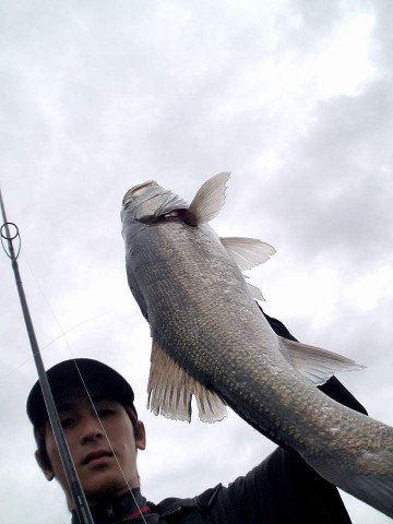 tbwohaxypo6dy4gm9biv_480_480-18de6c60.jpg