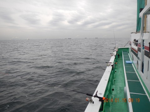 tc75wkc7pp378oofpka4_480_480-2697889d.jpg