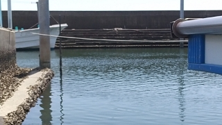 tcoz6pnssrx5bsbyrs87-01daf7d2.jpg