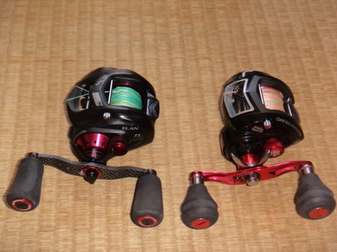 tcr5itr38rsgjjeriu8e_480_480-fb4300fd.jpg