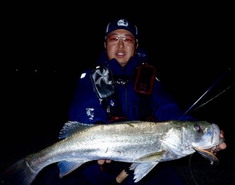 tcsrjibwxsihwsjdozhe_480_480-486f79fb.jpg