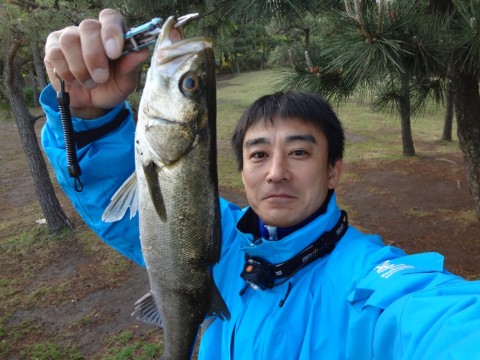 tcygipmd884khzyrhdpy_480_480-5e12ebc1.jpg