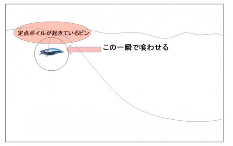 tcyohcdnhdced4xtbj63_480_480-62ee8be9.jpg