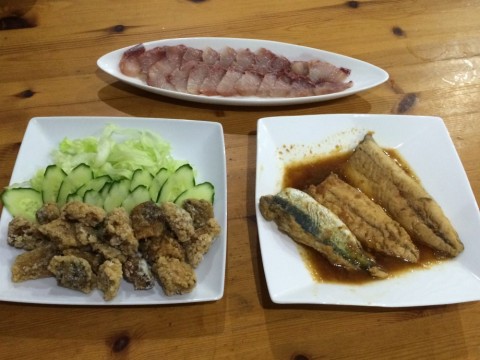 tdjahzcnyarfwx9rox9y_480_480-03225700.jpg