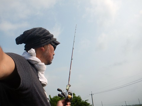tdroxegkcb82yj764zb6_480_480-c004801a.jpg