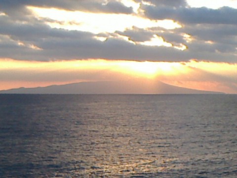 tdt6vz6i7ai7uhmyf945_480_480-2a785f9c.jpg