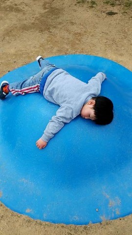 tdwhfzzvuzzttjoyztjk_480_480-2f9e70db.jpg