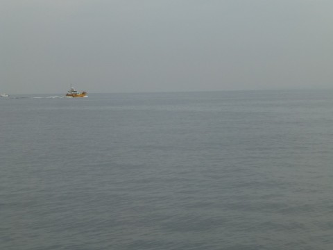 tdy5256wj3jx2yiffpjz_480_480-41b06432.jpg