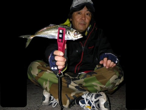 te6ptkagkk7834dpnv3c_480_480-828b57dd.jpg
