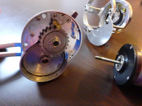 teafjp92dz6fgkfnkax8_480_480-c104a6ad.jpg