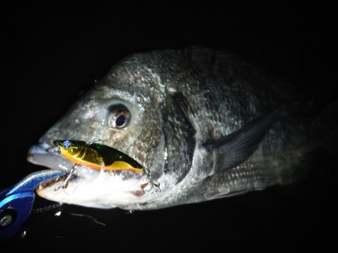 teeff2mboosmj7hwp9sa_920_690-8d8573a0.jpg