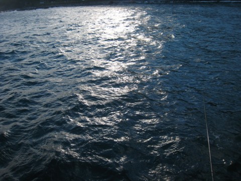 teyn2w3erj8moxcpzzst_480_480-ac538173.jpg