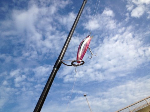tf92tcrjp3tgrazzr5b6_920_690-14636795.jpg