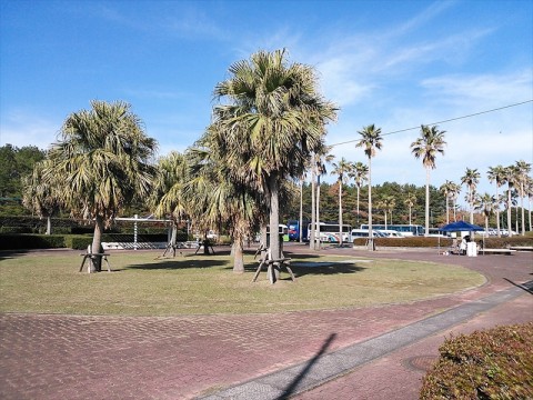 tfh2r2o7gceje3osnm8t_480_480-3d261167.jpg