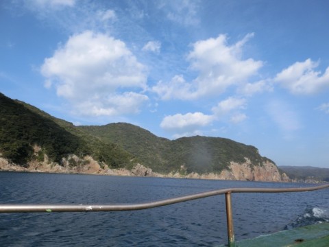 tfu2mn48ypbyygyuxhno_480_480-f64d6291.jpg