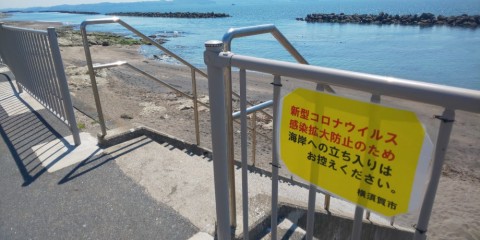 tfwy6k98bgy3vpevfpbv_480_480-08c9034a.jpg