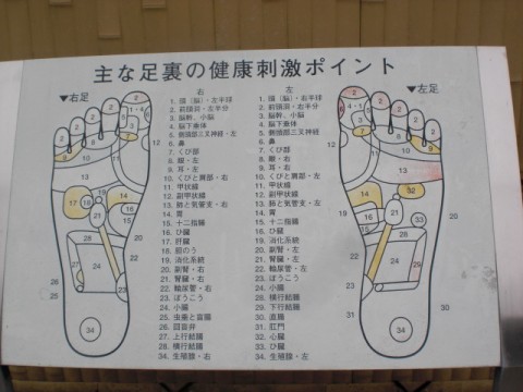 tfzf4yomrczdrd5rrmv7_480_480-c1266b41.jpg