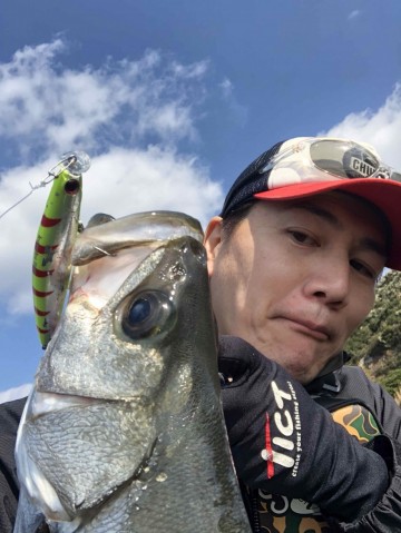tgaoikuam5w6sz2o8e5f_360_480-0e04e8cb.jpg