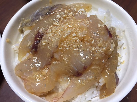 tgmd99366edryrgjmo8c_480_480-2342b0aa.jpg