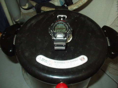 tgrhke5wxwuos359bkx4_480_480-94891a77.jpg