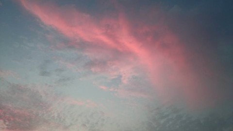 tgrw5apwcoowndhvzcxm_480_480-7035ac3f.jpg