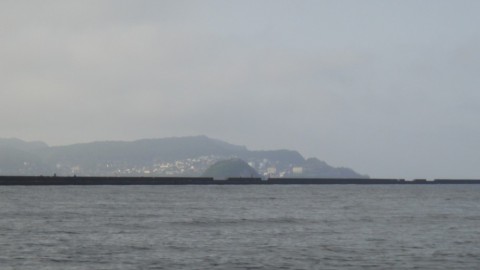 tgryo3p8rfzrwha9vri6-37fb8376.jpg