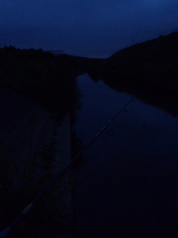 tgsazogkajrmnnytvcnf_480_480-29414360.jpg