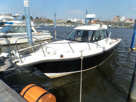 tguzhhugh95nxrwwvmur_480_480-d8ee3054.jpg