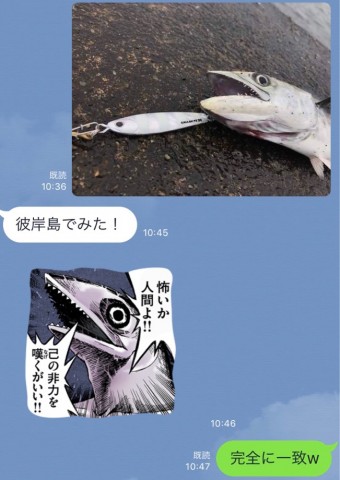 tgxofwtngt6c4484s4wp_651_920-89f0fdd4.jpg