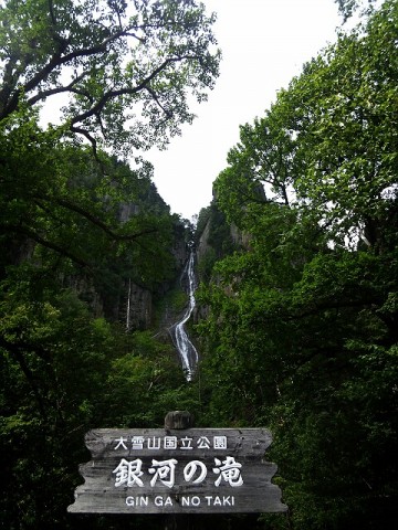 tgymjt6fawthuyatyyiu_480_640-03e90570.jpg