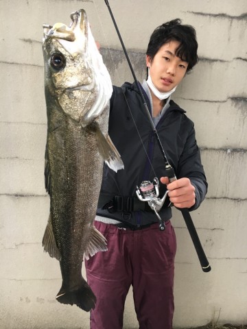tgzyx3bjkpgra343ko4w_690_920-79611ca7.jpg