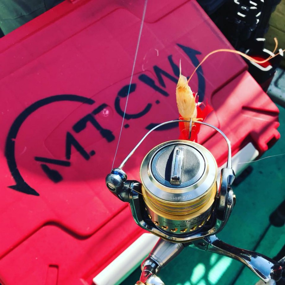 MTCW-FISHING】 ラインローラー零改 販売開始！